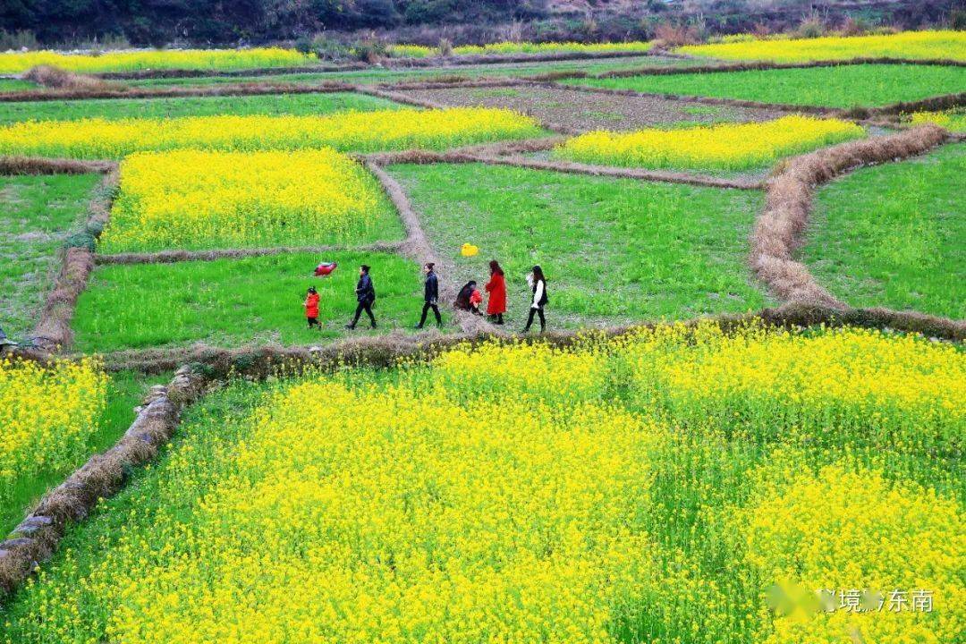 贵州榕江:踏春赏花 乐享节日_油菜花