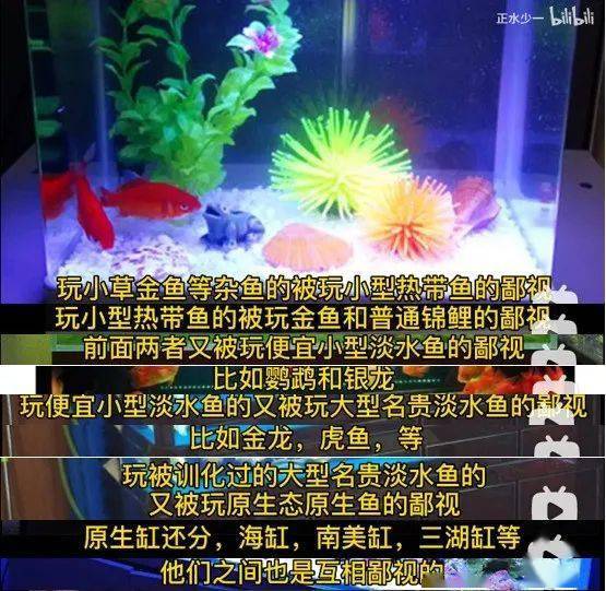 为什么男人一过18就争做养鱼的"海王"?