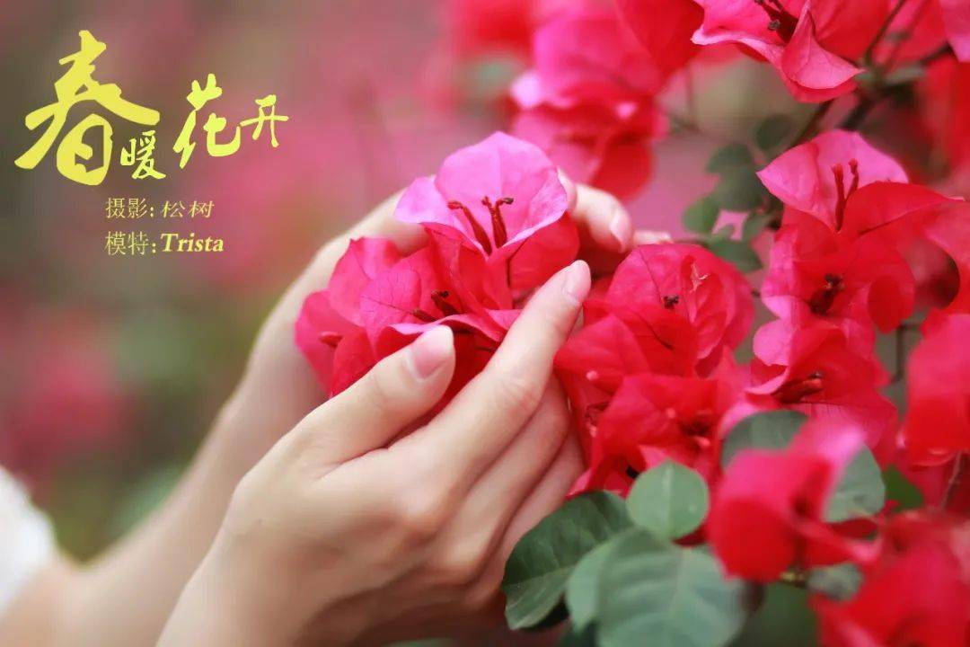 回眸处,春暖花开又一年
