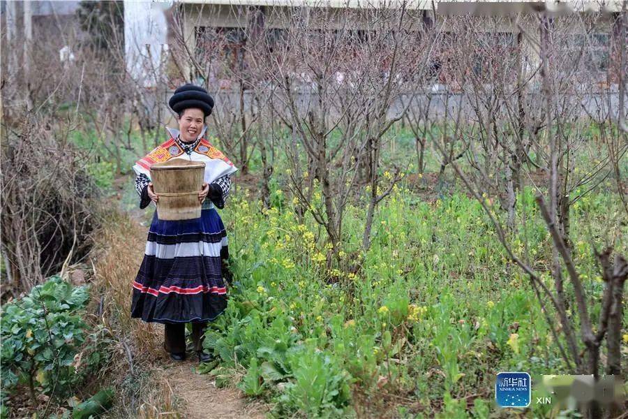 点赞毕节这家人登上新华社了