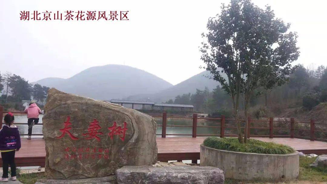 著名景点湖北京山茶花源风景区