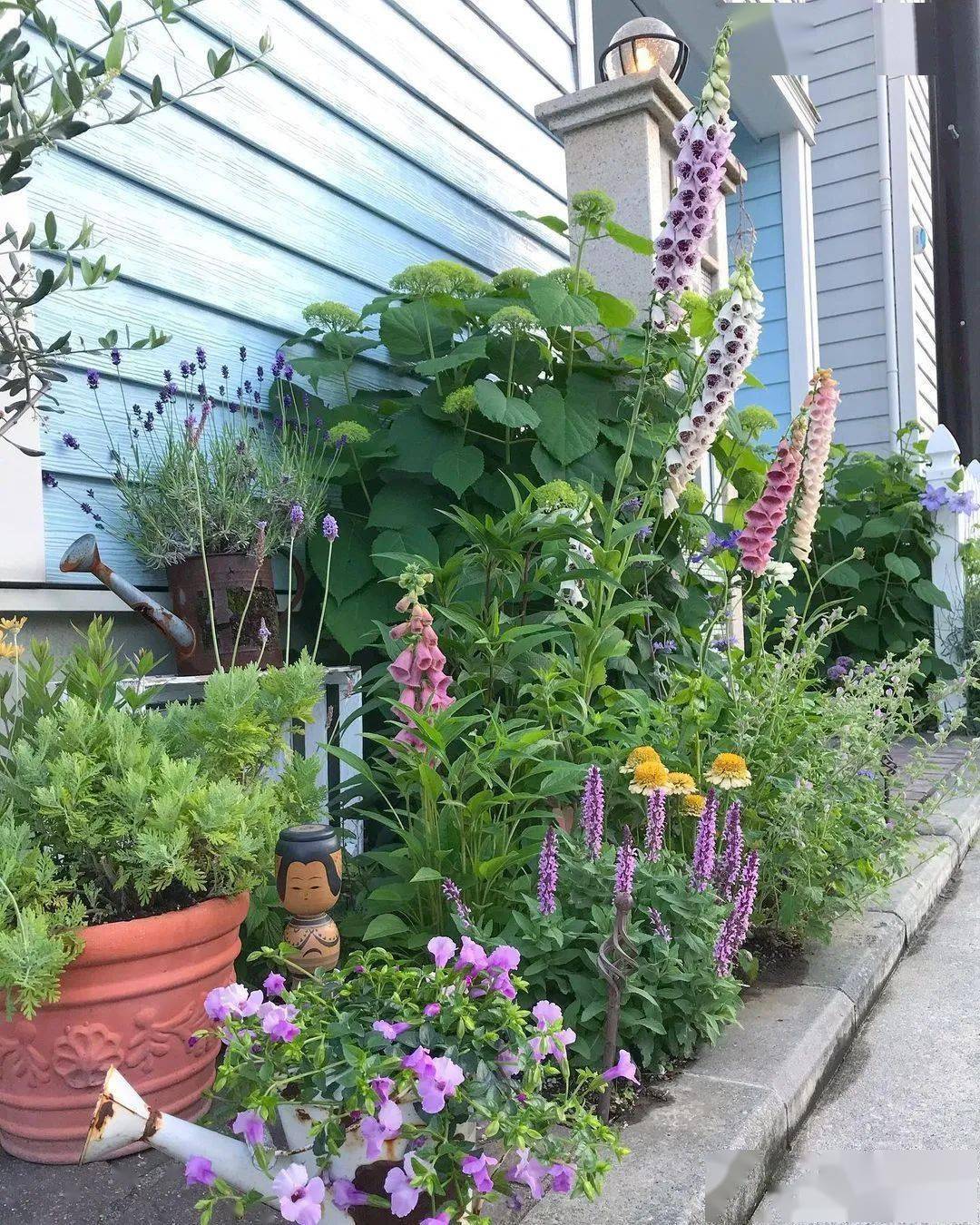 小空间花园打造指南丨四季开花不断,她是怎么做到的?