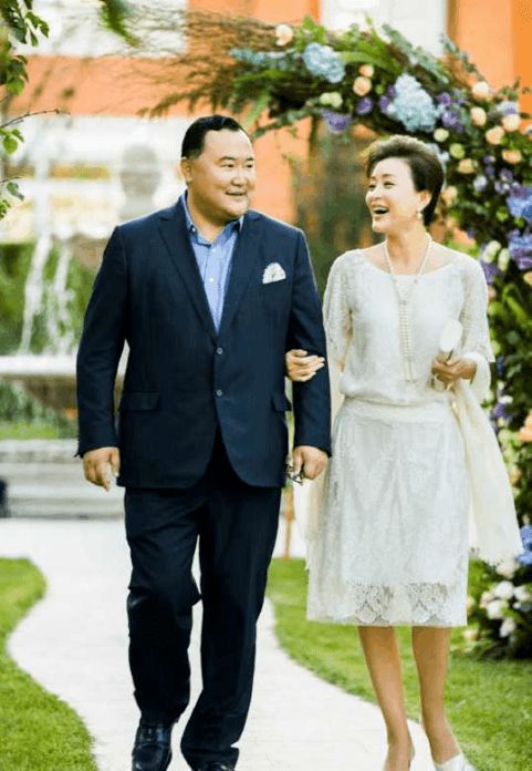 (杨澜和吴征 图源网络)
