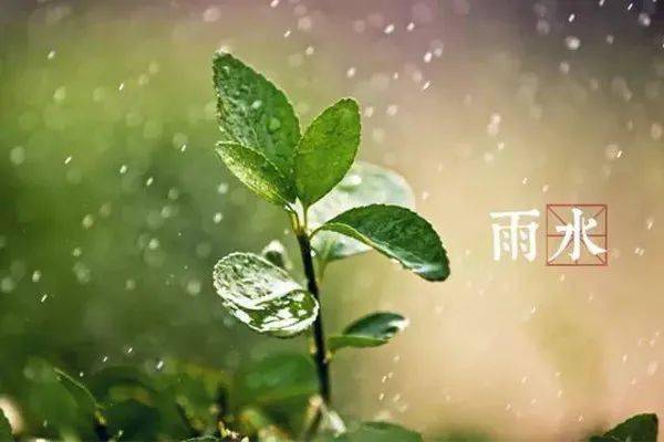 二十四节气之雨水