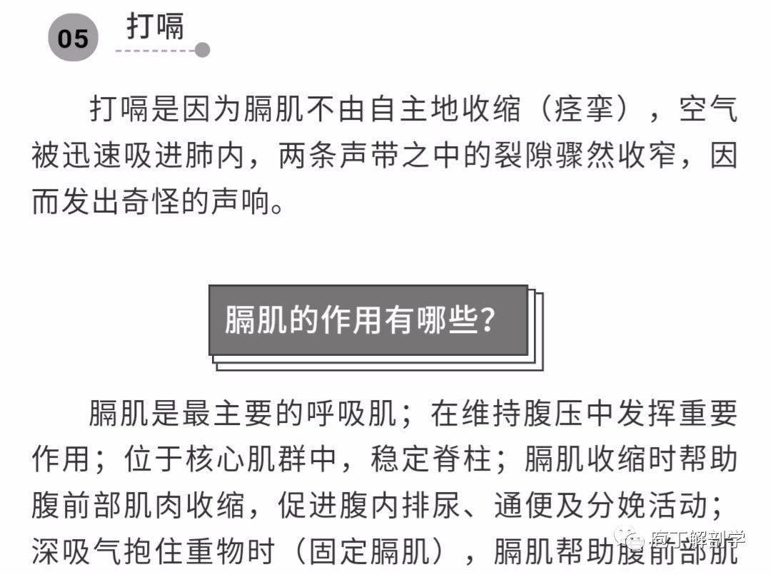 "膈肌"是什么肌?有"上交叉""下交叉"的人都该看看了!