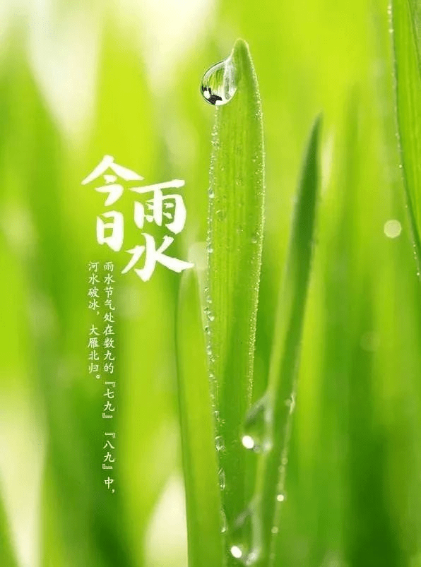 雨水节气 雨水 春雨润物 正是大地回春之时 雨水节气 愿你快乐如鱼得