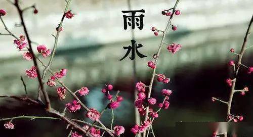 大年初七逢雨水,祝你快乐好运!_节气