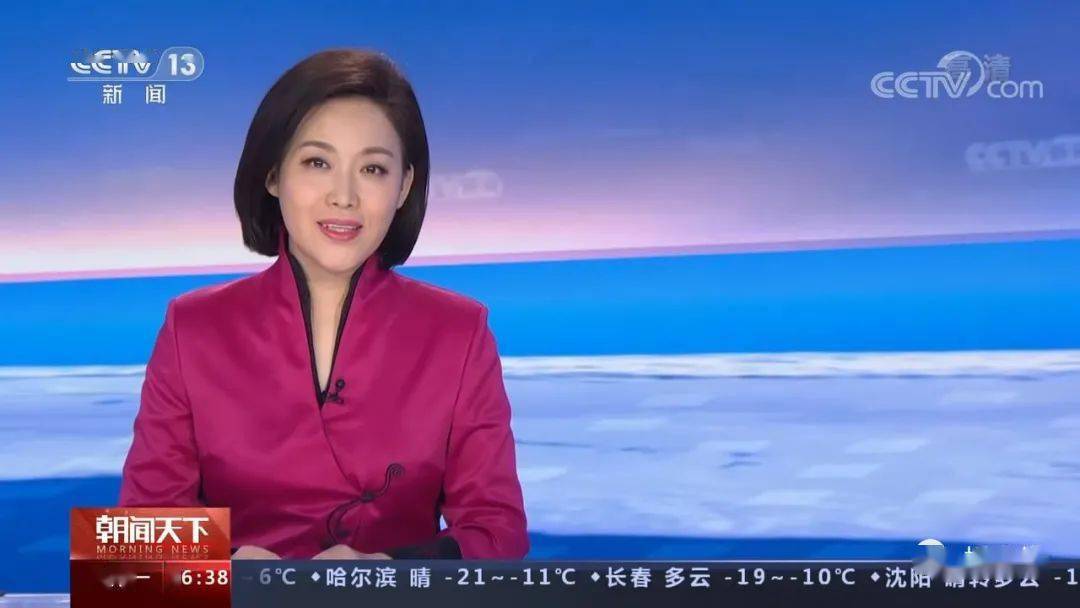 央视35位女主播春节出镜服装50套合集