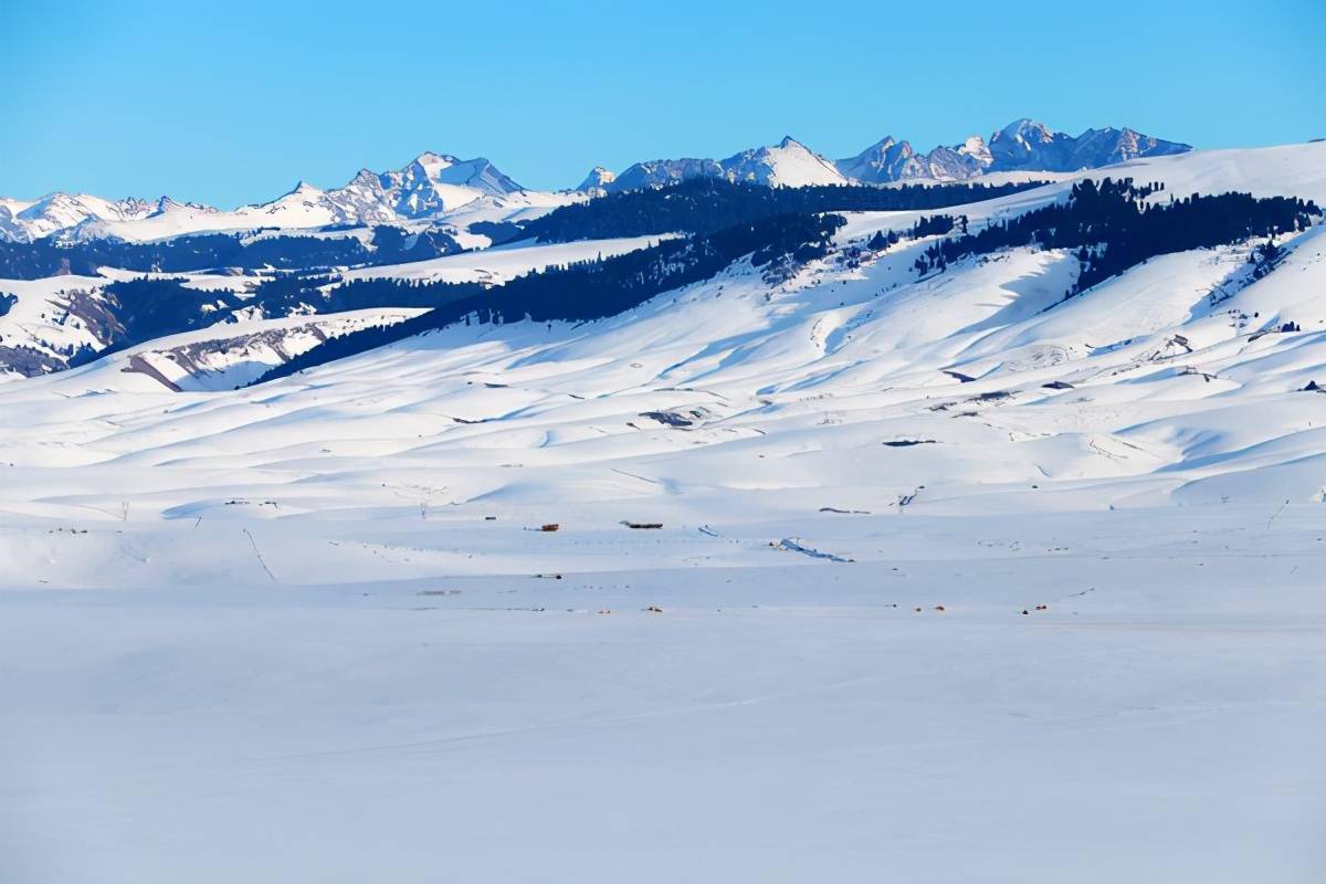 雪海无垠牧歌昭苏