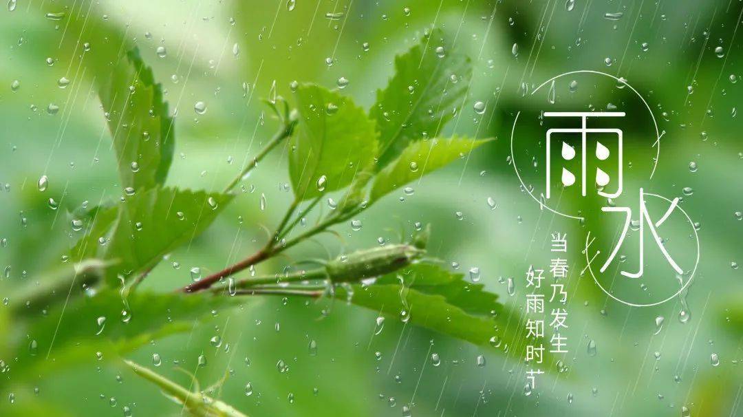 今日雨水丨好雨知时节,当春乃发生