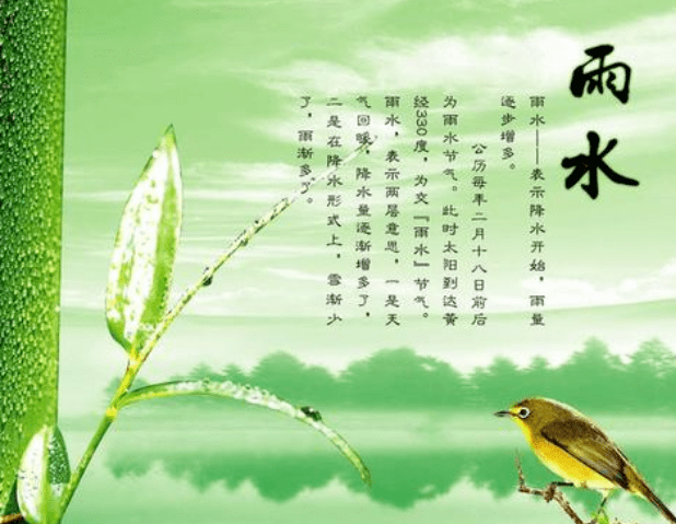 雨水,问候!