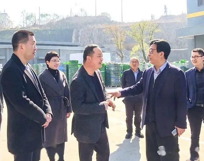 担当破难优服务 奋勇争先开新局丨玉环市领导开展新春