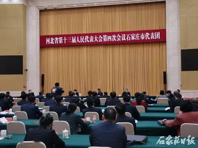 邢国辉参加河北省十三届人大四次会议石家庄市代表团审议