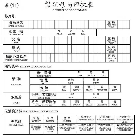 马匹登记幼驹登记流程介绍