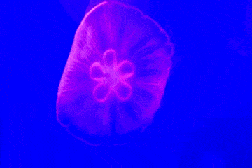 360_240