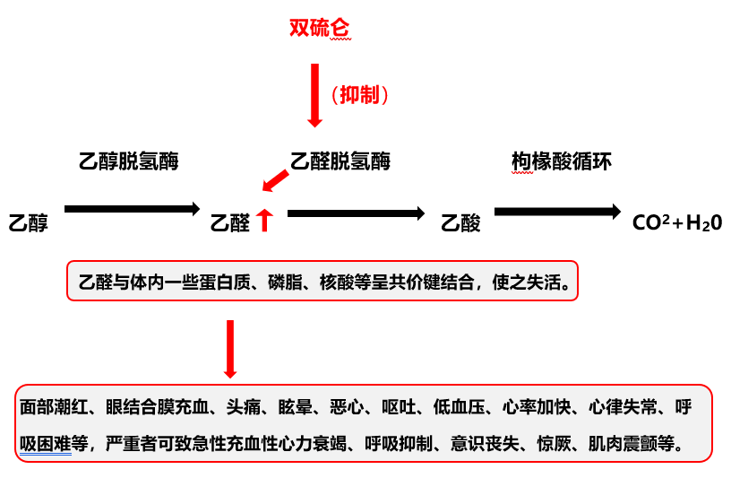 干货:一文掌握双硫仑样反应的处置