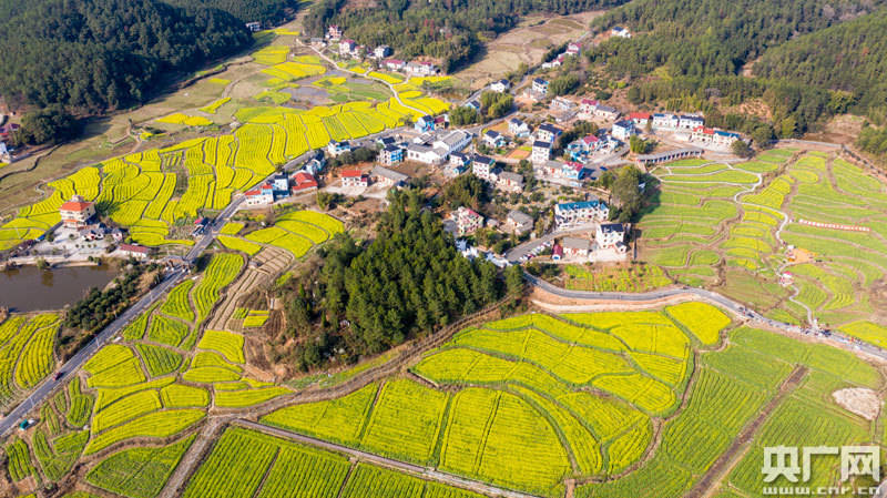 空中俯瞰江西省吉安市万安县田北农民画村景区美景(央广网发 通讯员邱