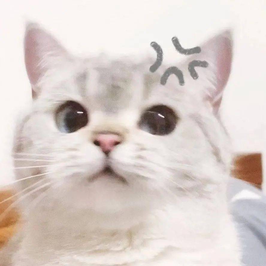 【沙雕表情包】猫咪臭娜娜表情包