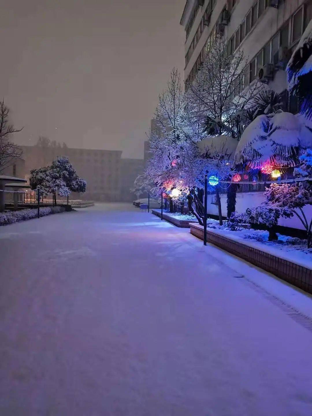 终于下雪了!郑州校园的雪景到底有多美?