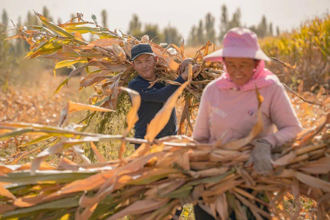 天山放歌——新疆各族人民幸福生活主题摄影展览上线中华数字艺术城