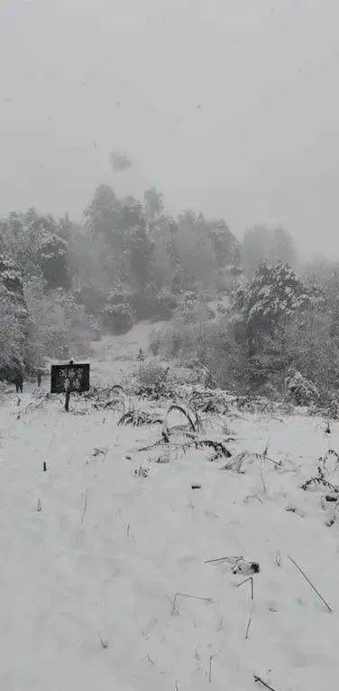 飞雪迎春,汉中多地迎来降雪天气!