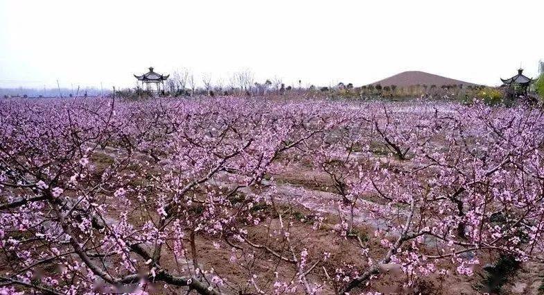 d1:刘圩村→梨园湾→杉荷园→田园河西民宿 这个周末 带上家人,约上