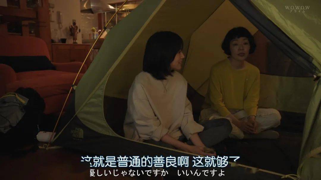 《森林民宿》影评:短短6集的8.6分深夜剧,却是今年第一份治愈
