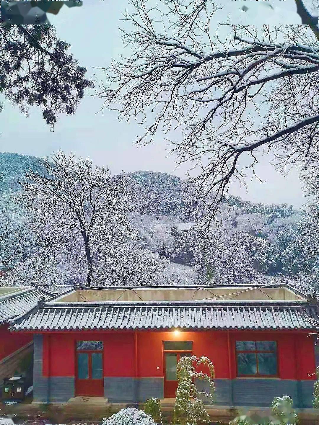 美到犯规,一步一景,济南几处古风雪景地,第一眼就让人