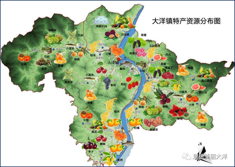 大洋这几个地方美翻了!还有春季水果采摘游预告抢先看