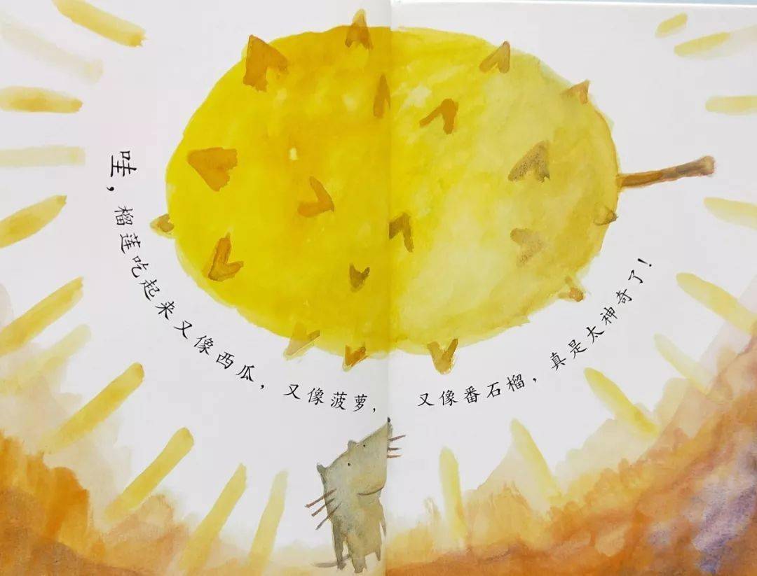 温心悦读绘本推荐第8期好想吃榴莲