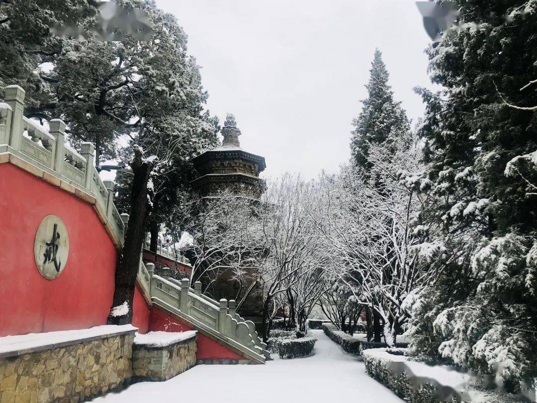 美便与往时不同一场雪后戒台寺景区此时的潭柘寺美得不染尘埃佛香袅袅