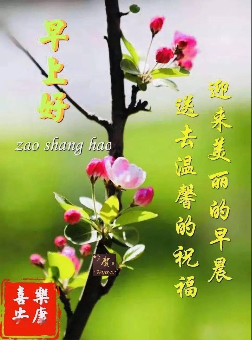 2021牛年清晨问候图片,2021年牛年问候图片 2021牛年最新早晨好问候语动态图片表情 漂亮早上好问候祝福语动表情