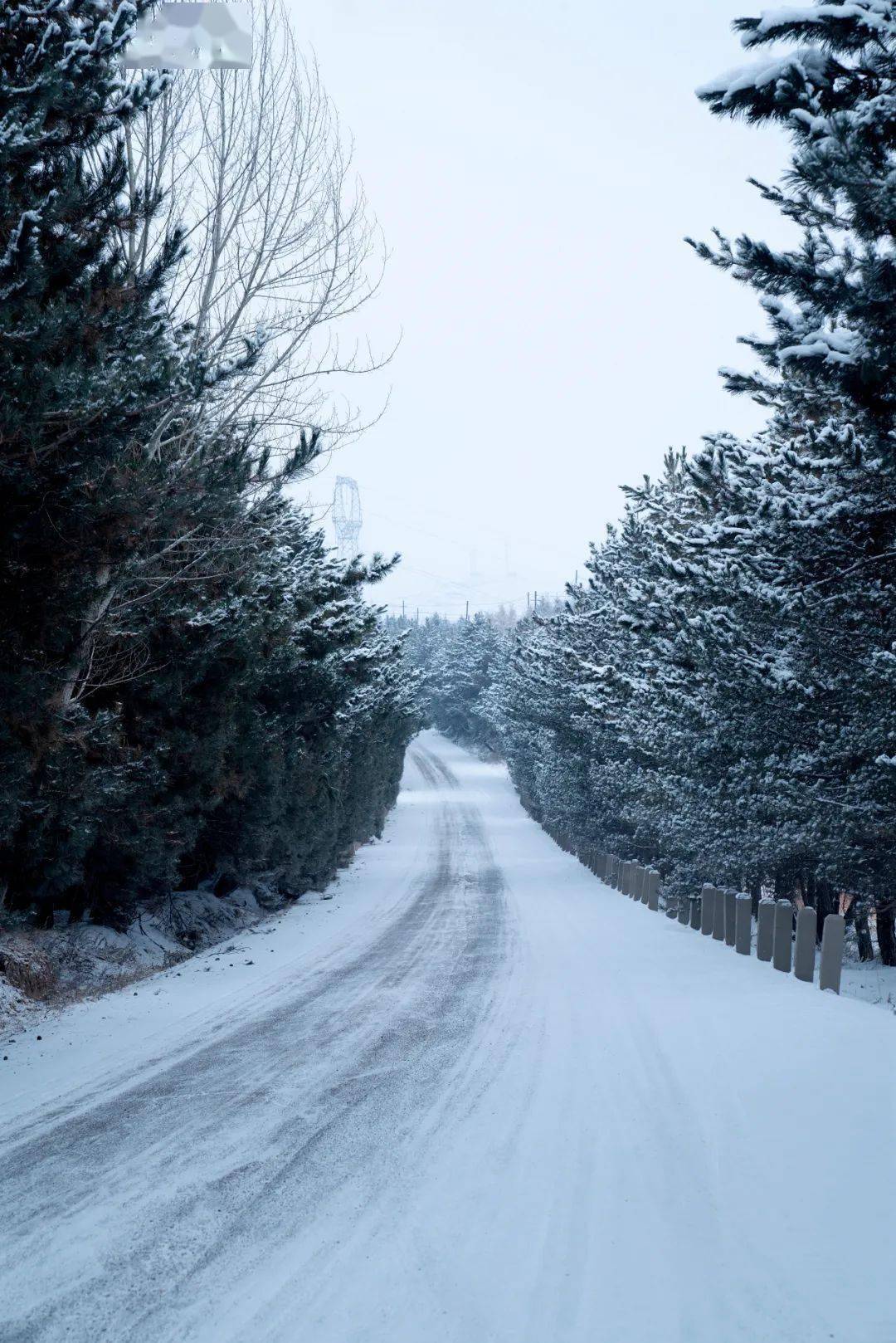 (史有东  摄)  东乡县雪景 雪后乡间村里,白雪皑皑 路上,树枝上,山上