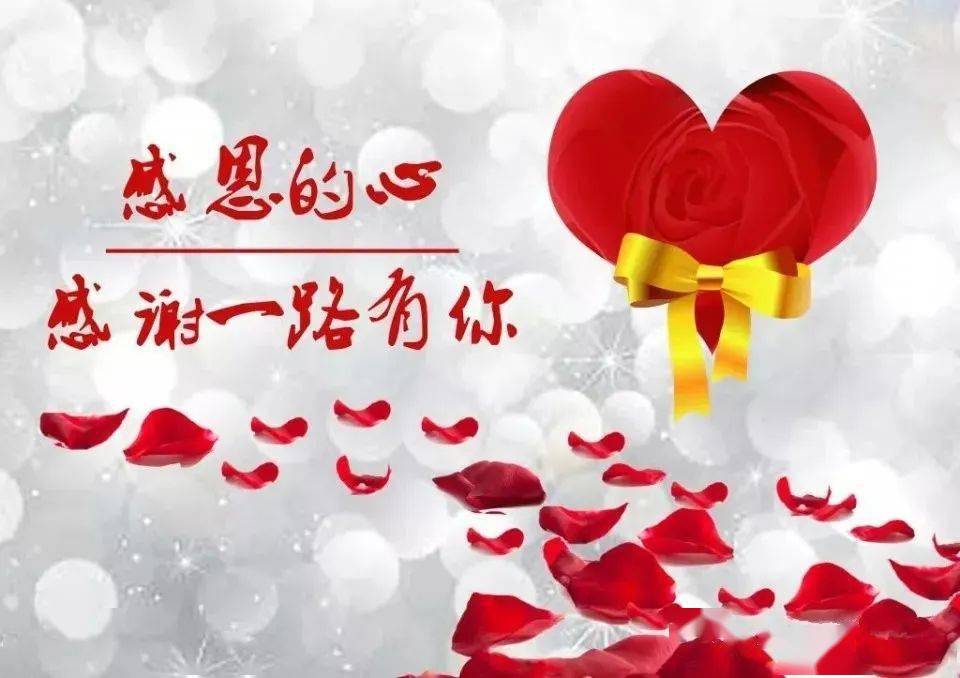 感恩,所有对我好的人!