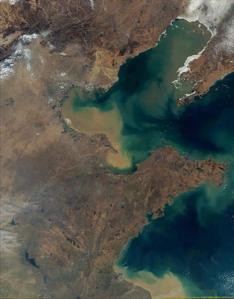 渤海卫星图
