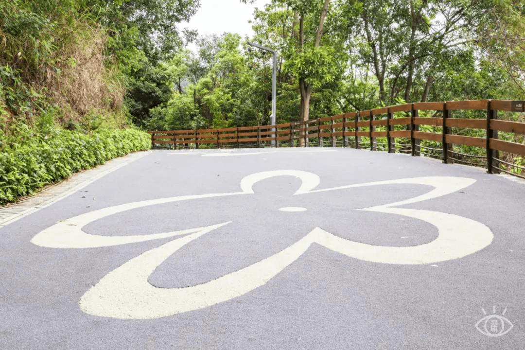 深圳这10条绿道,你去过没?