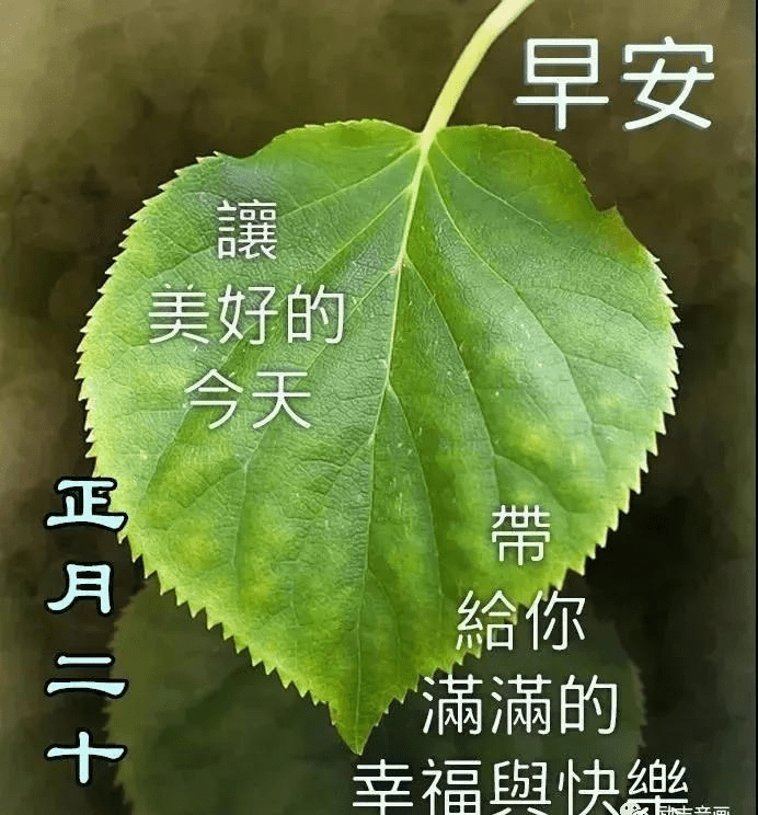 感动,是因为有人惦记;幸福,是因为有人可想,早安