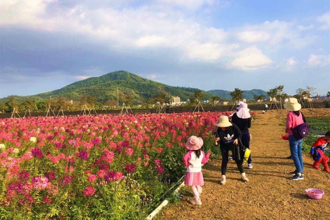 编织出一幅春色芳菲的春景图