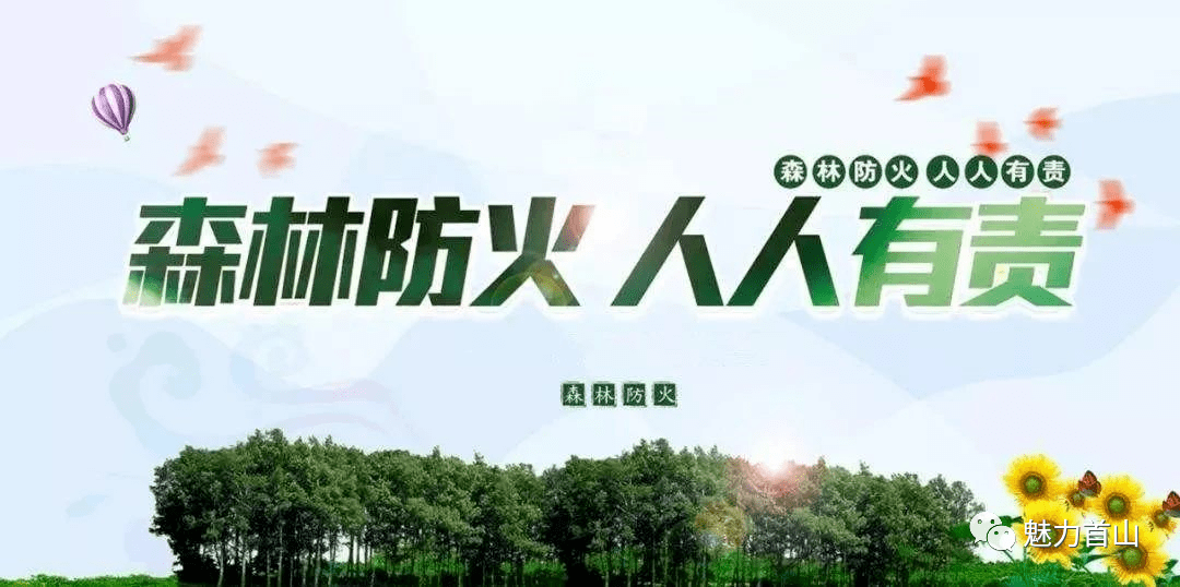 【防火常识】森林防火宣传常识