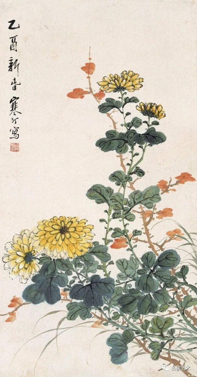 菊花图 江寒汀(1903-1963)