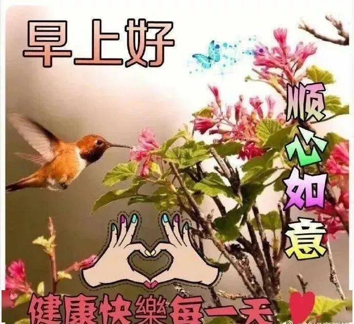 2021牛年早上好祝福语,牛年最美祝福贺词大全!