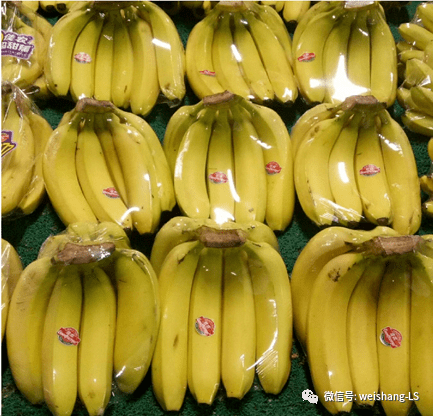 质量完好的香蕉国产香蕉皇帝蕉高单价单品,突出陈 列进口香蕉价格中低