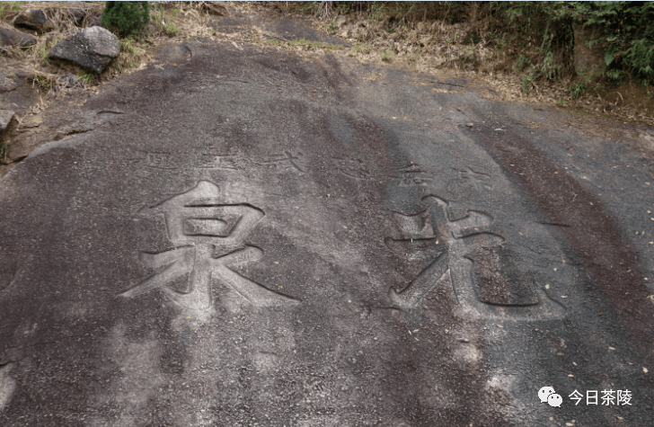 茶陵油菜花节小编带大家游秩堂景区