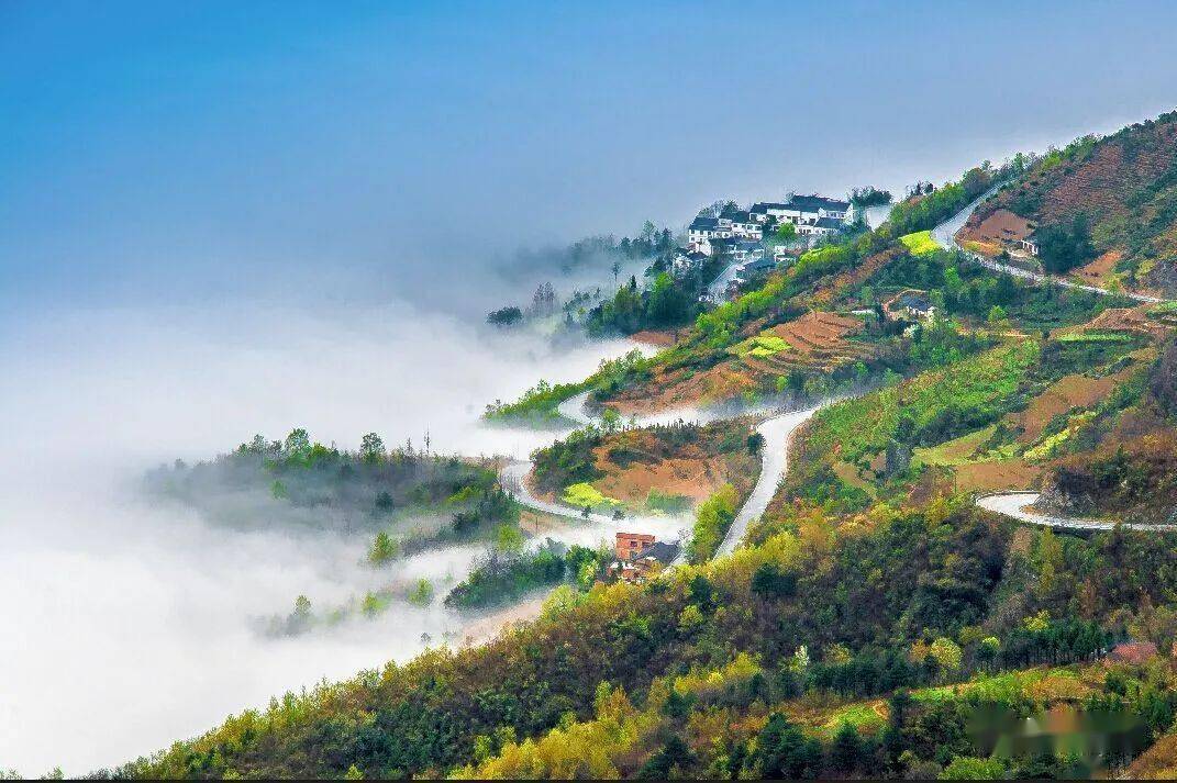 热点汉阴油菜花旅游季出行攻略