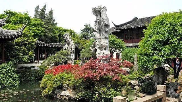 看苏式园林庭院中植物与山石的微妙关系!