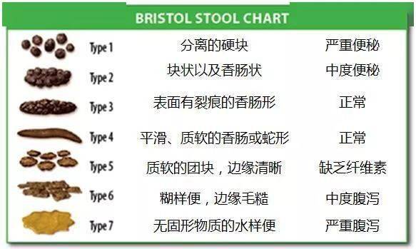 bristol 大便性状评分