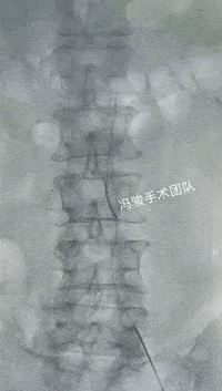 200_353gif 动态图 动图
