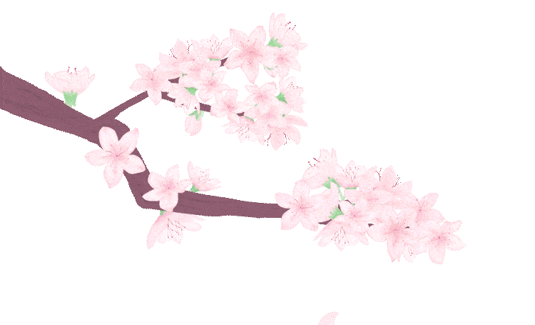 印象长大 | 这景,美极了