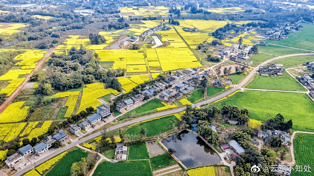 你可以逛 最美公路东山大道