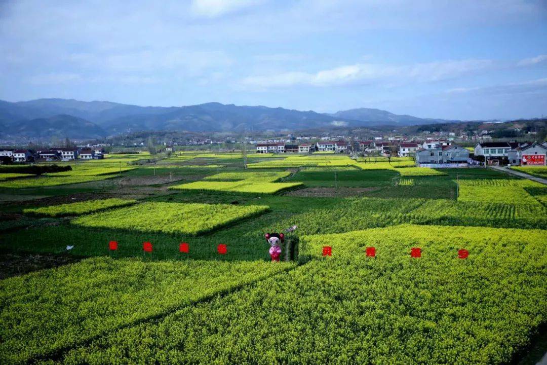 还有城南街道办水东村,堰口镇泾洋河沿岸许家巷村一马平川,连片分布的